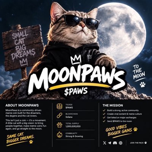 MoonPaws mascot overlooking the moon